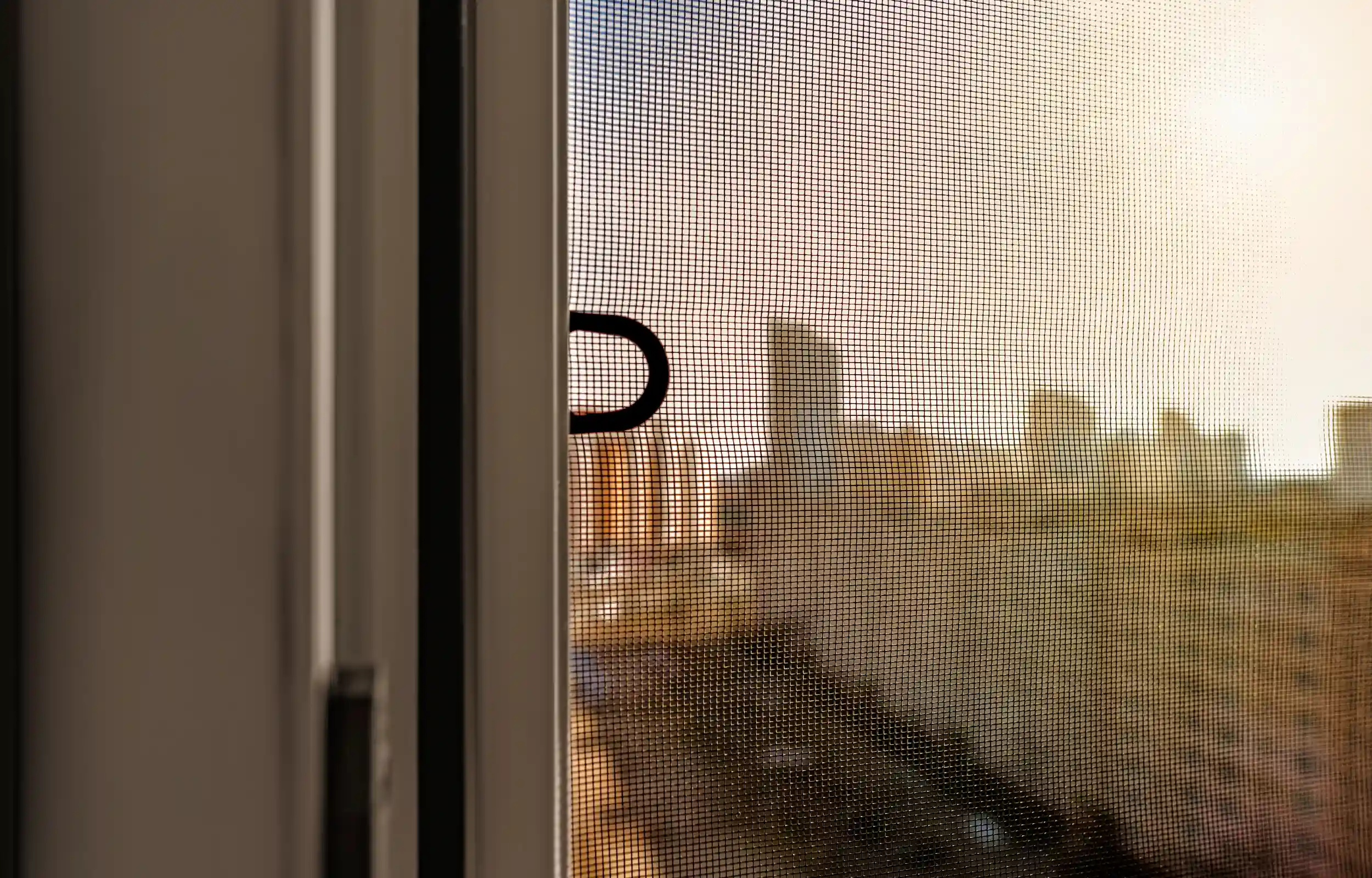 screen