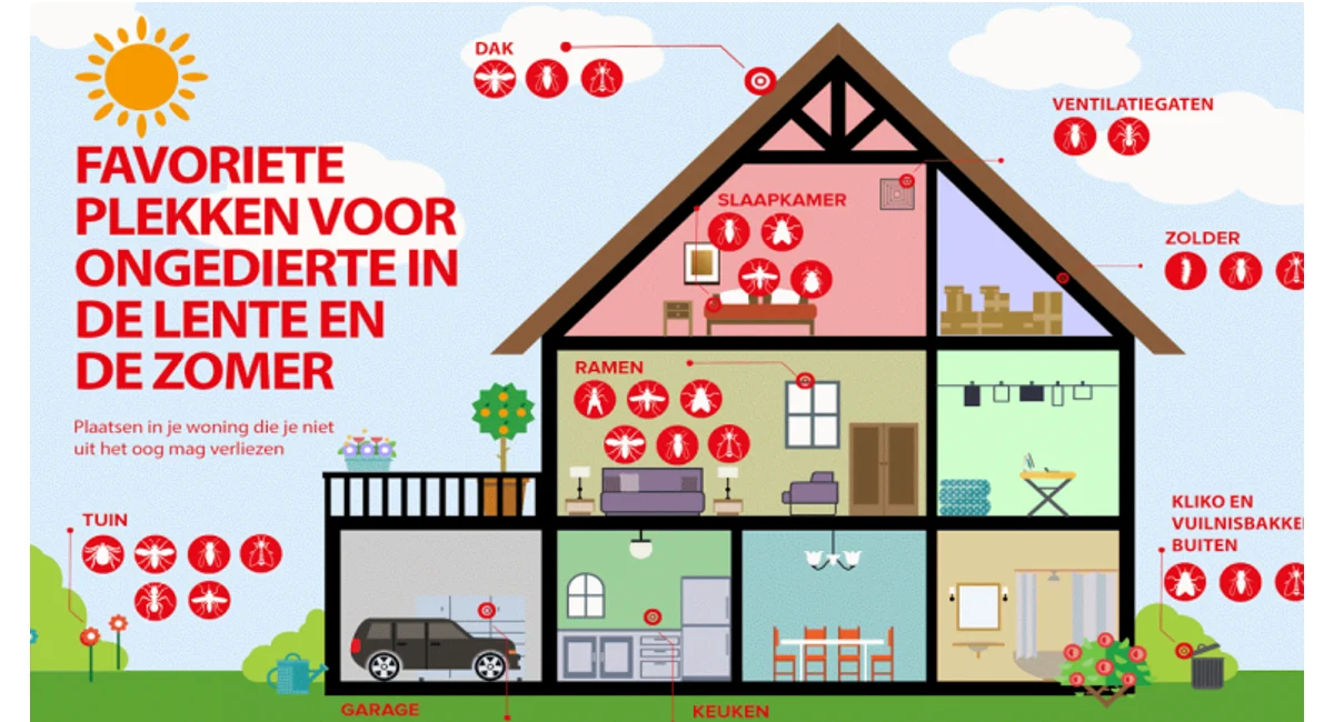 Tips voor ongediertepreventie in de daken