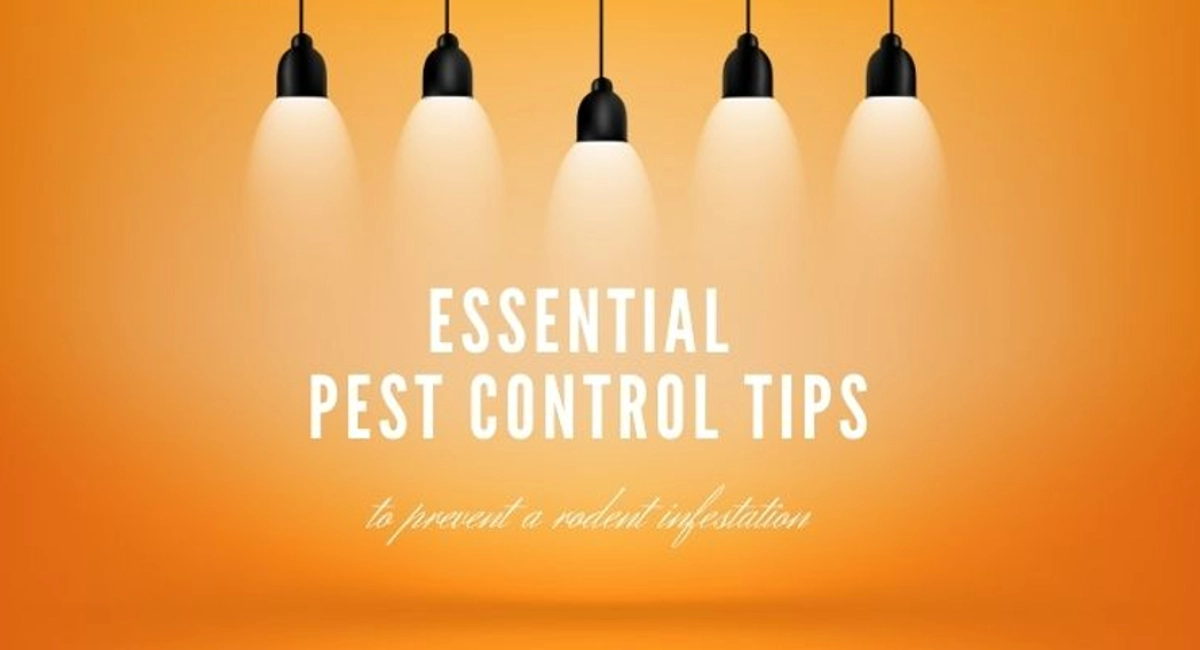 Essential Pest Control Tips