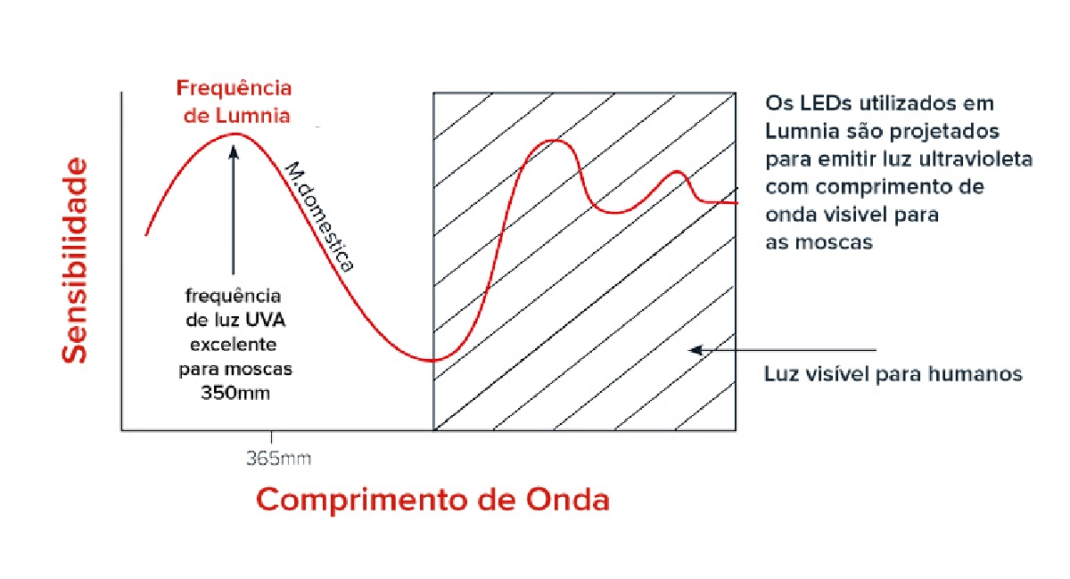 Moscas não enxergam a luz da mesma forma que os humanos.