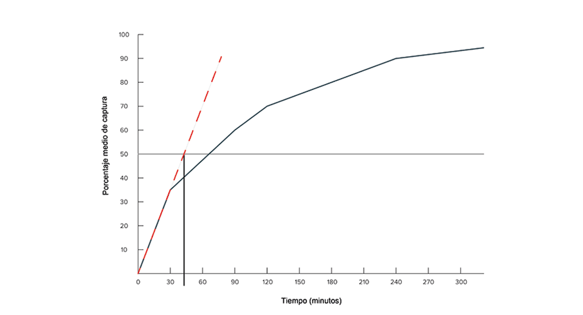 infographic-measure-of-half-life-value-explanation