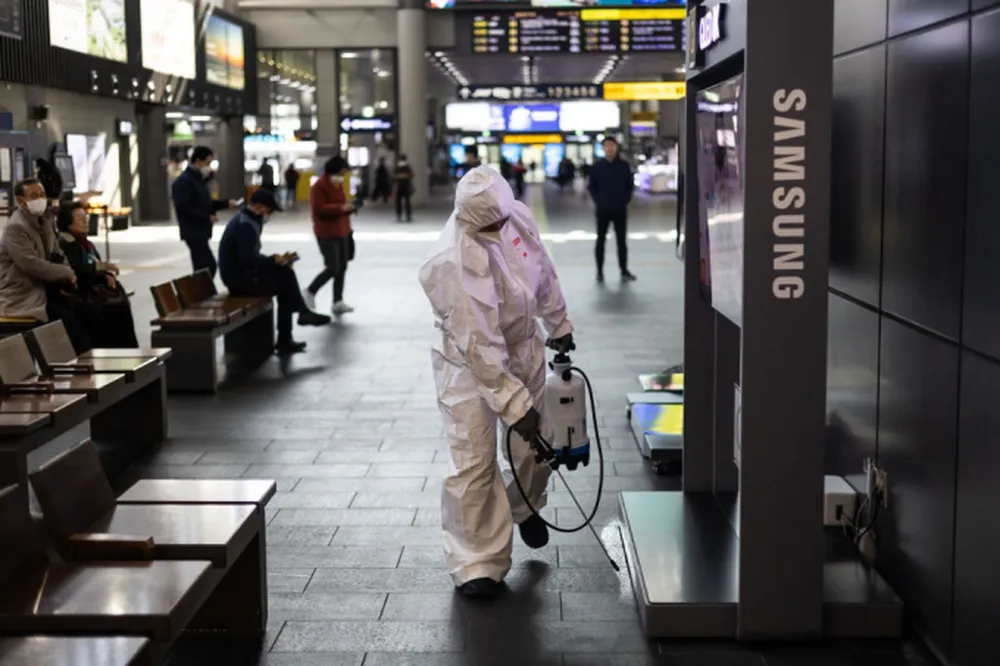 Korea bedbug