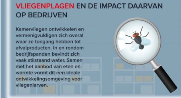 Vliegen aangetrokken door licht