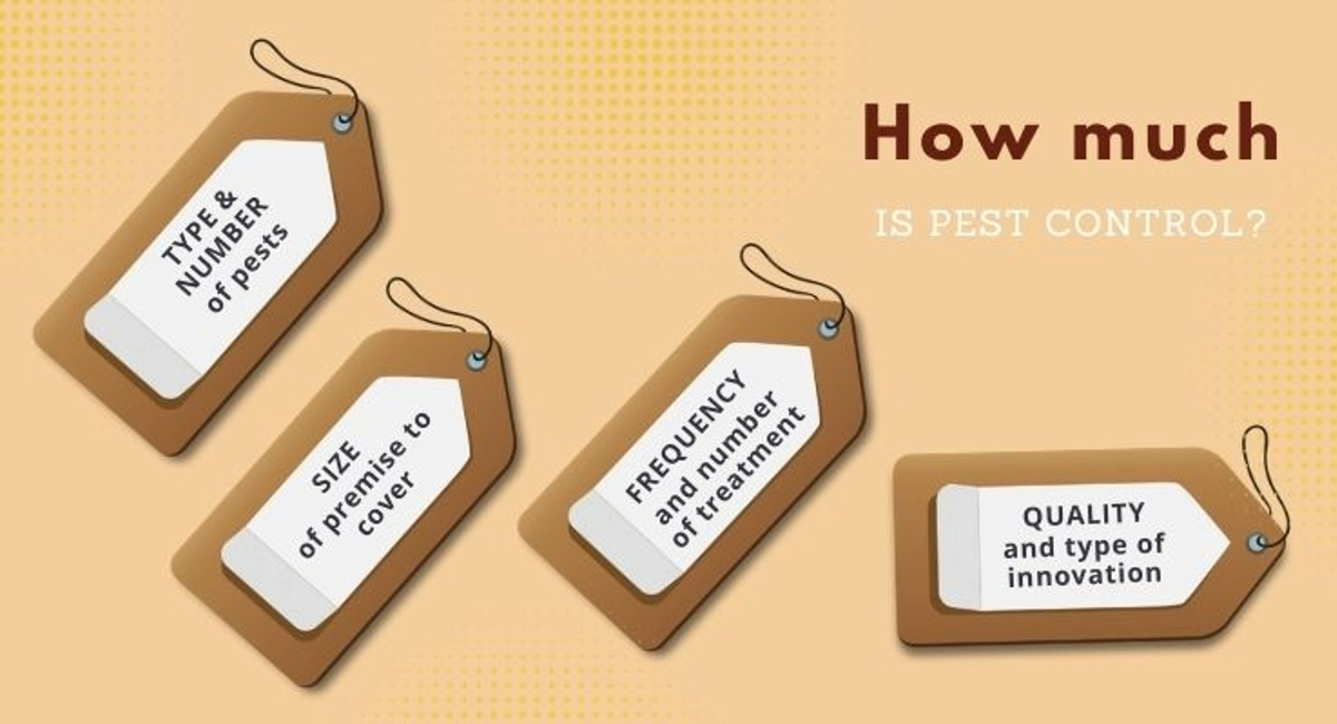 Debugged Blog 10 Questions You Need To Ask About Pest Control Price