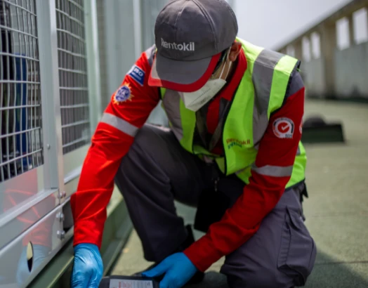 Pest control technician
