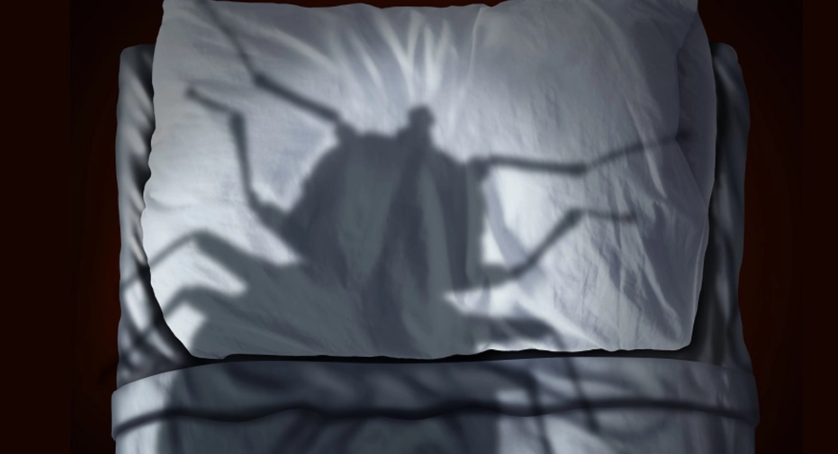 Bettwanzen Schatten