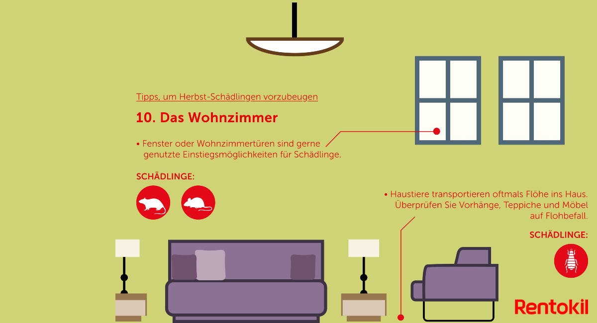 Herbst-Schädlinge: Mäuse, Ratten, Bettwanzen im Wohnzimmer