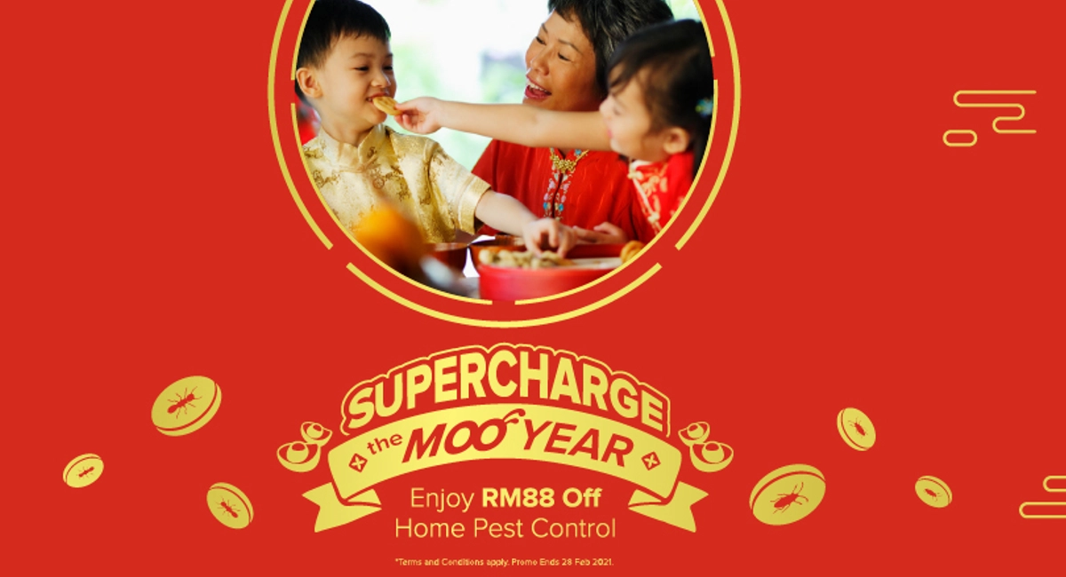 Super charge the Chinese new year