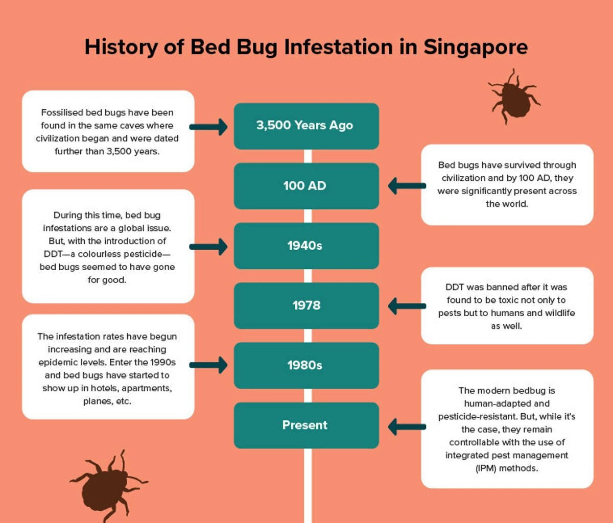 History of bed bugs infestation in Singapore