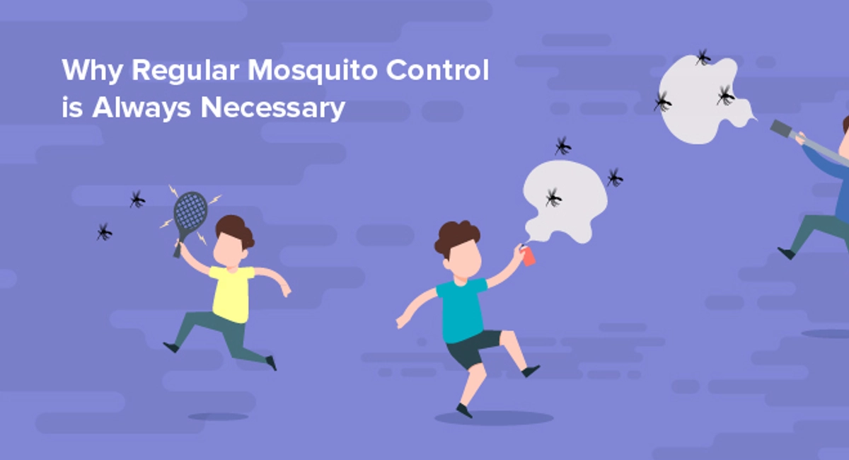 Why regular mosquito control is always necessary