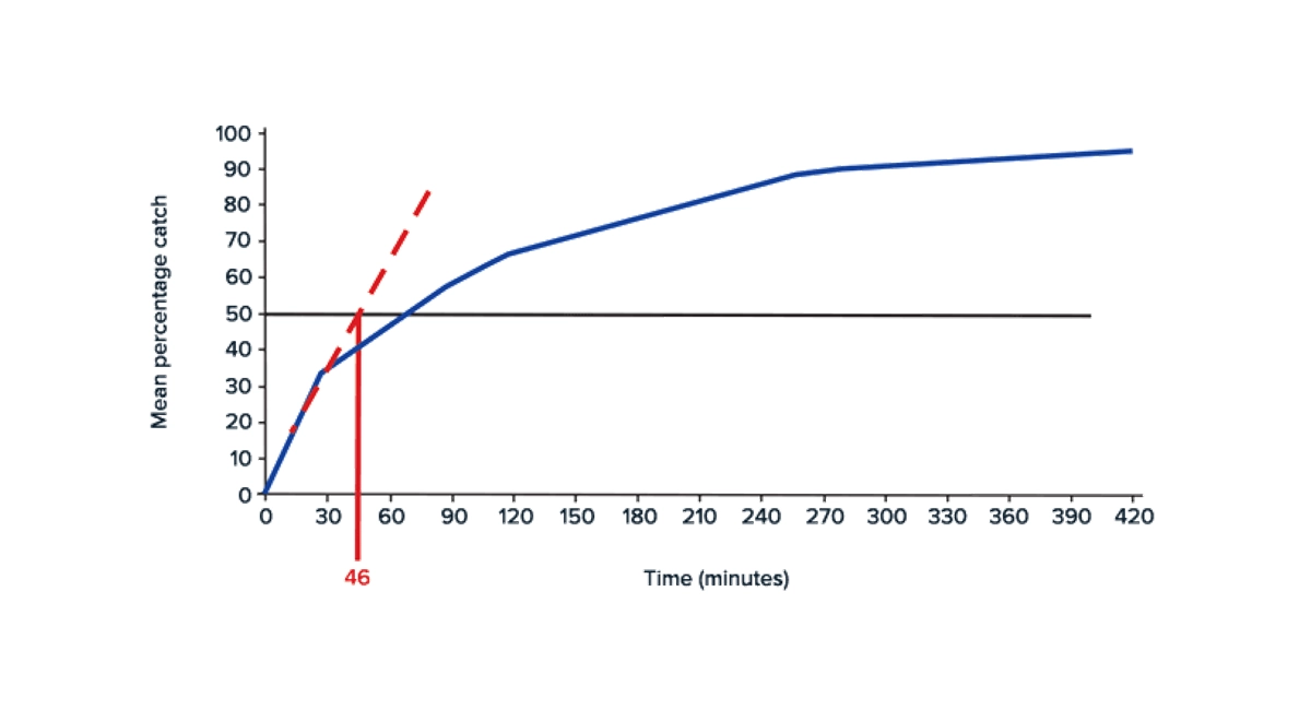 Half-life value explanation