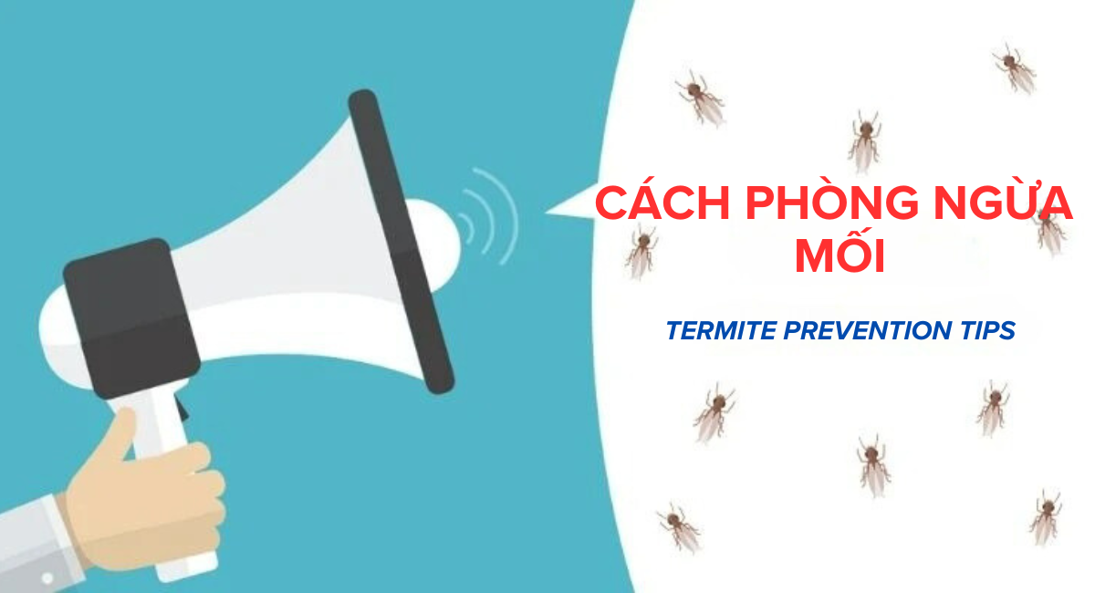 TERMITE PREVENTION TIPS
