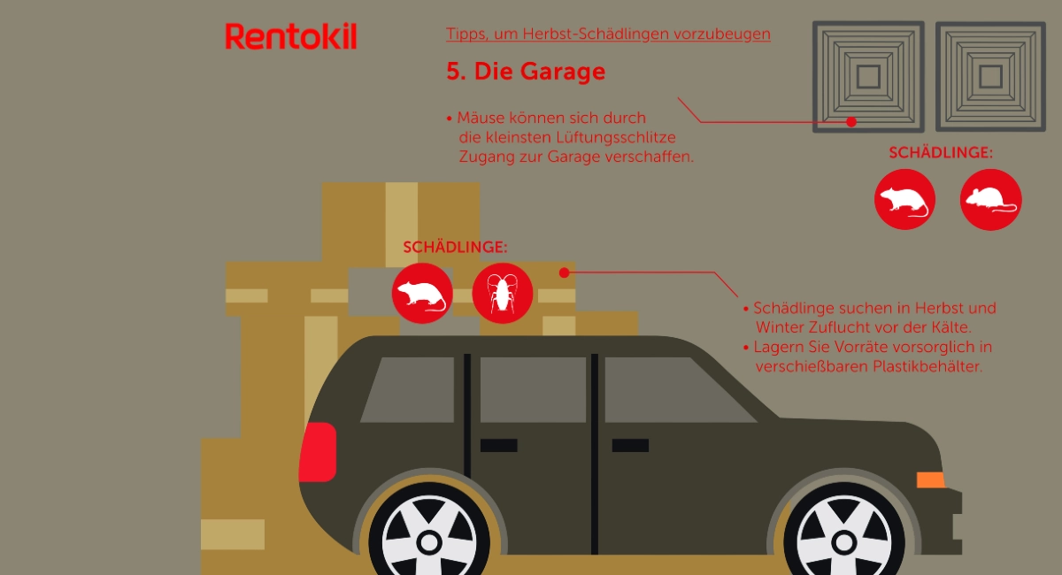 Herbst-Schädlinge: Mäuse, Ratten, Schaben in der Garage