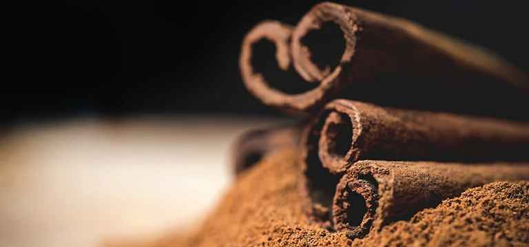 Pest Myth: Can cinnamon repel bed bugs?