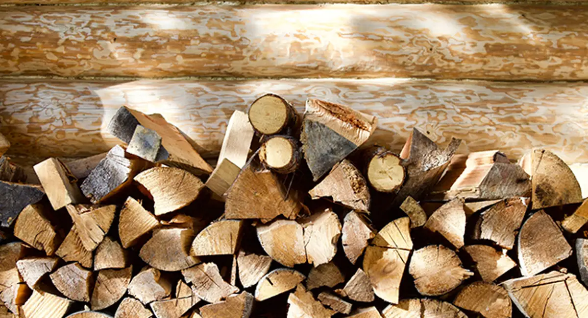 Túneles en la madera