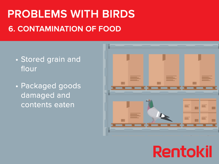 Contamination of food