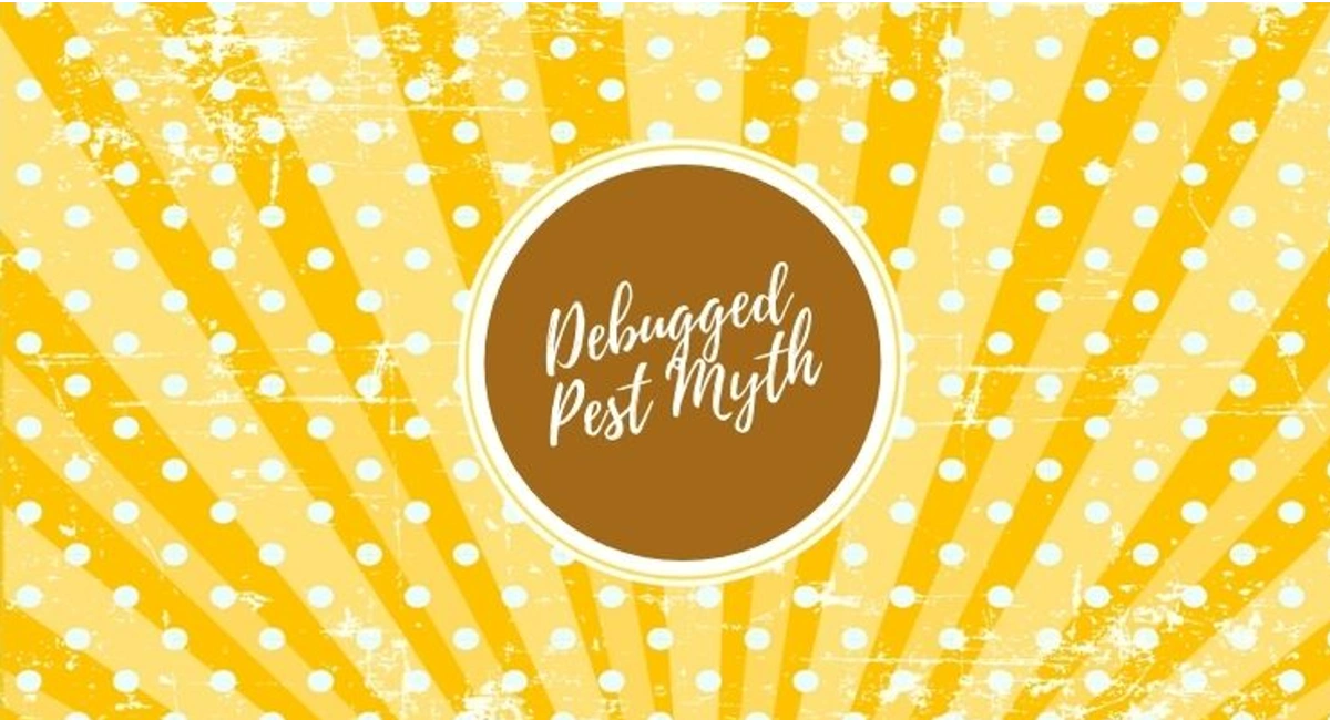 Debugged Blog How Do You Control A Fly Infestation Pest Myth