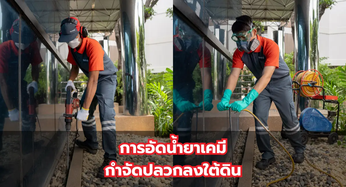 วิธีกำจัดปลวกใต้ดินแบบฉีดน้ำยาเคมีลงดิน