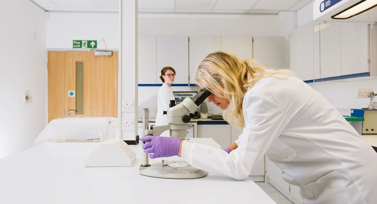 Pest Research