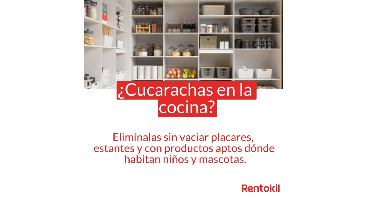 Cucaracha