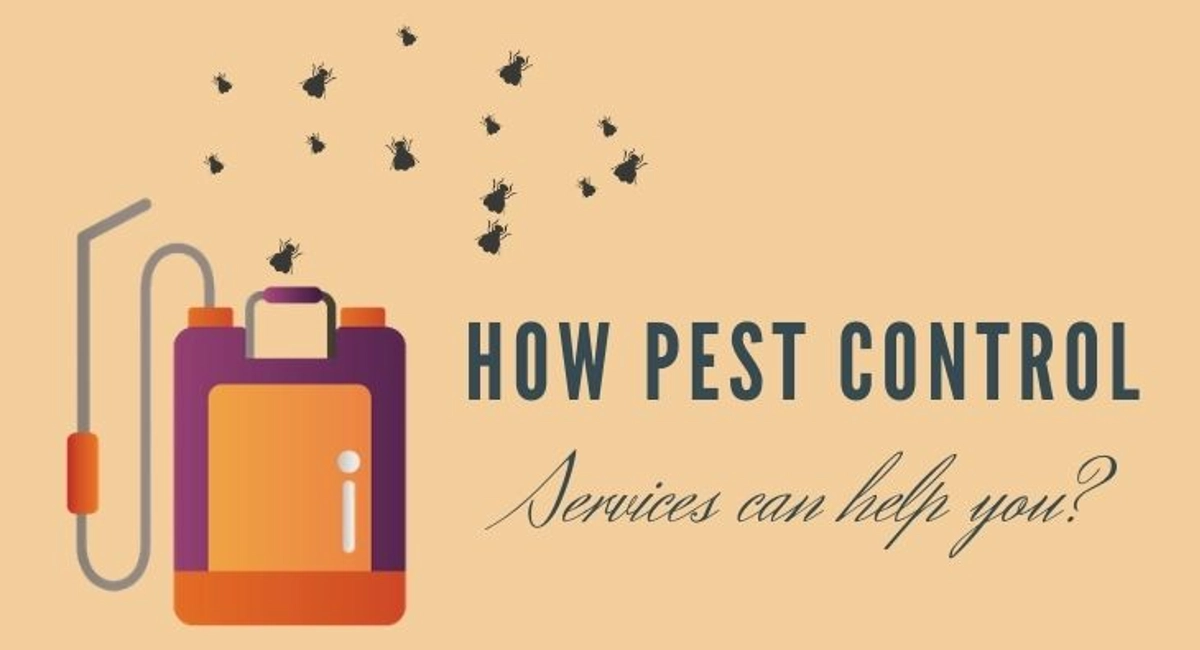 Debugged Blog The Colours of Light And Impact On Pest Control Engage in Flies Control