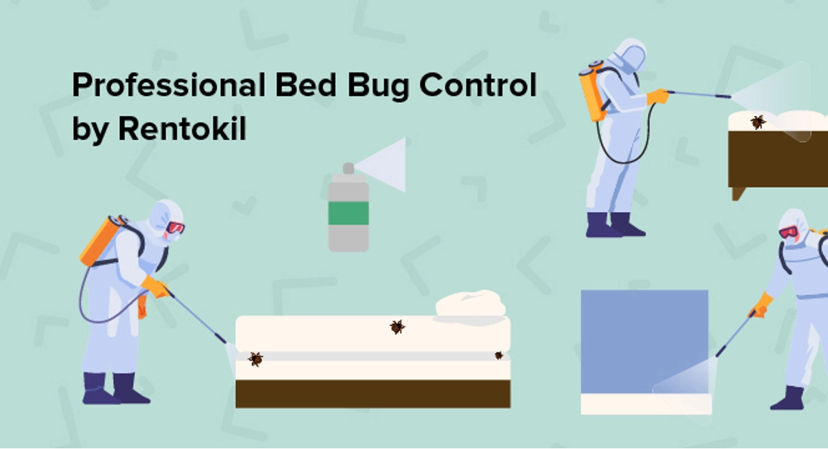 bed bug control specialists
