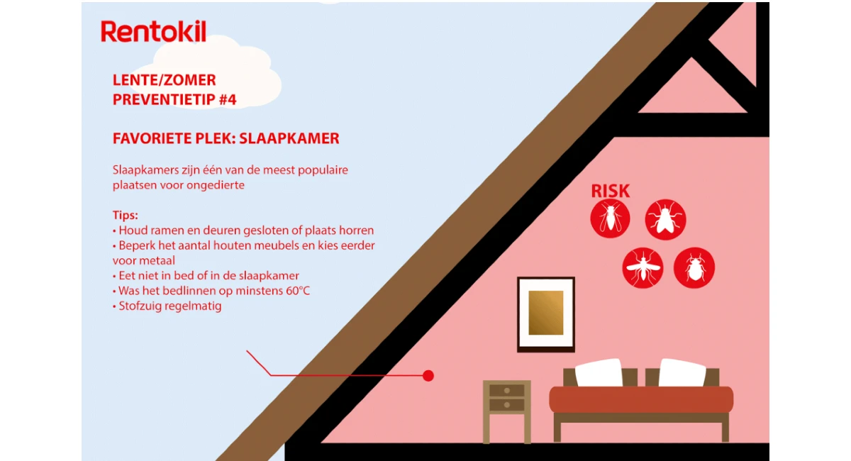 slaapkamer