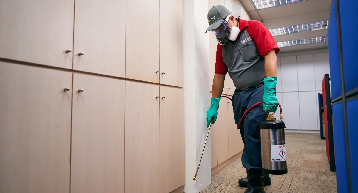 Termite spray