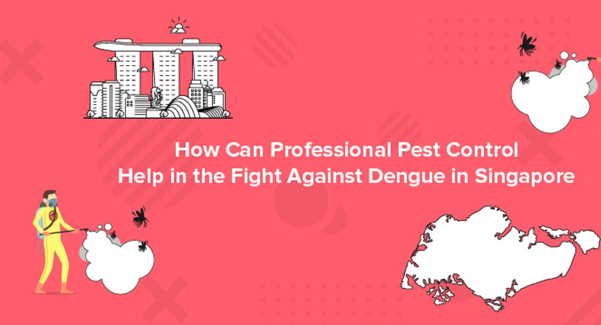 How can professional pest control help in the fight against dengue in Singapore