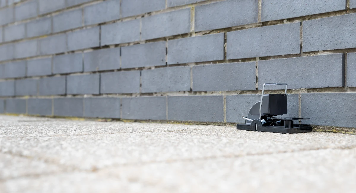 PestConnect Rat Riddance Connect against a wall