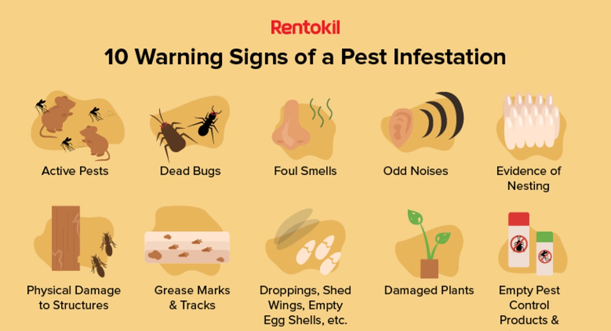 Ten warning signs of a pest infestation