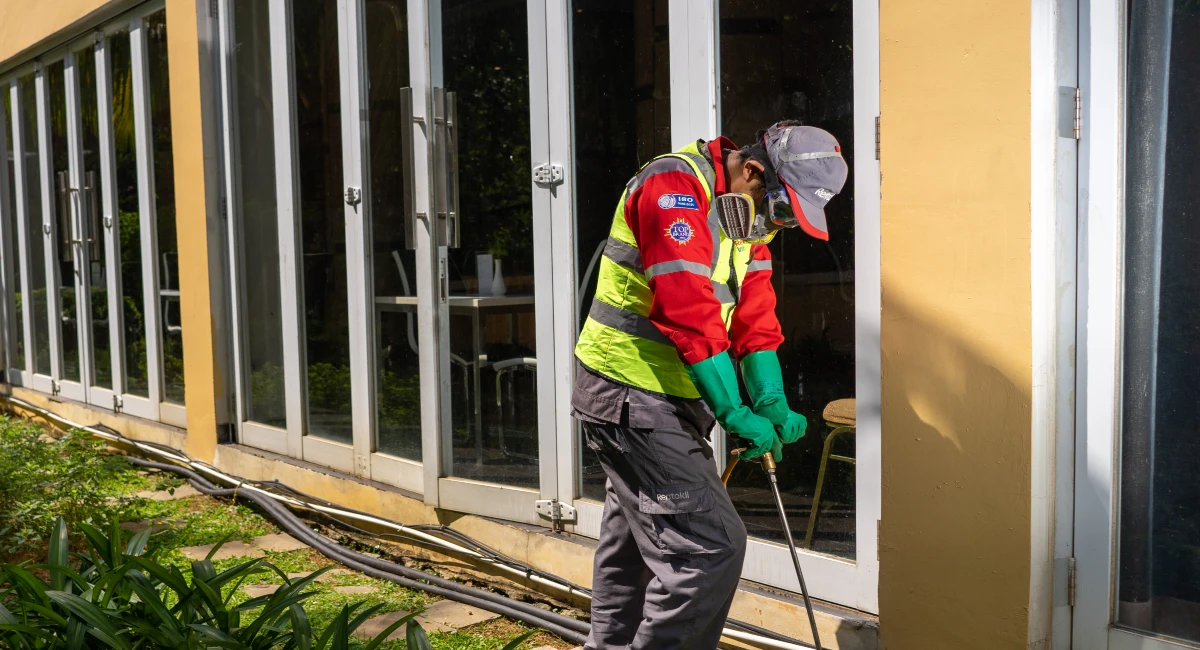 termite treatment