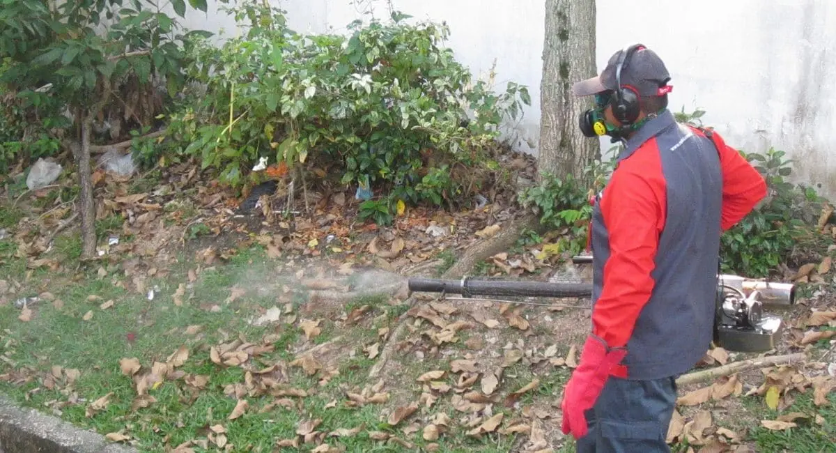 A man thermal fogging