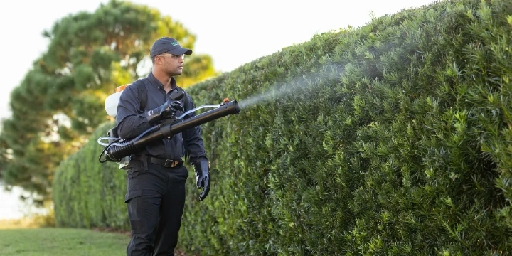 Spraying on plants