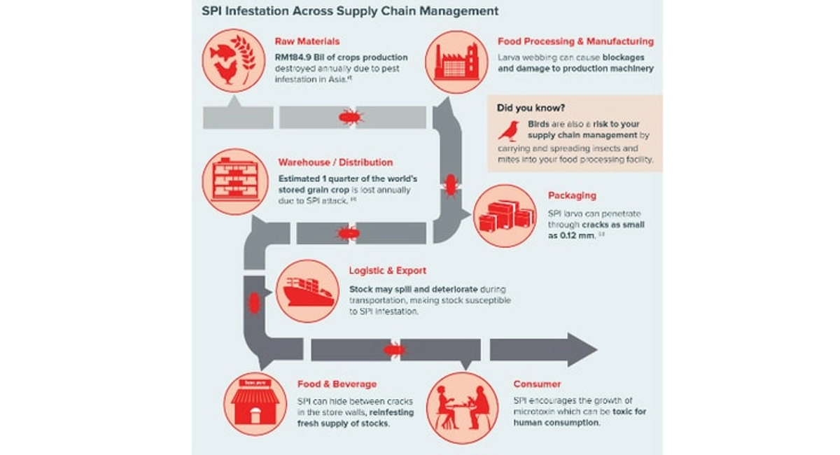 SPI Infestation across Supply Chain Management