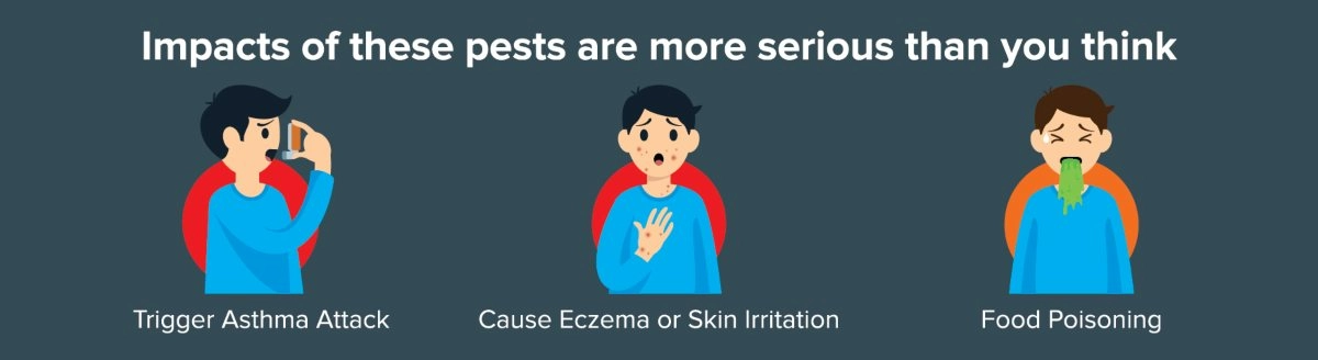 Cockroach Illness