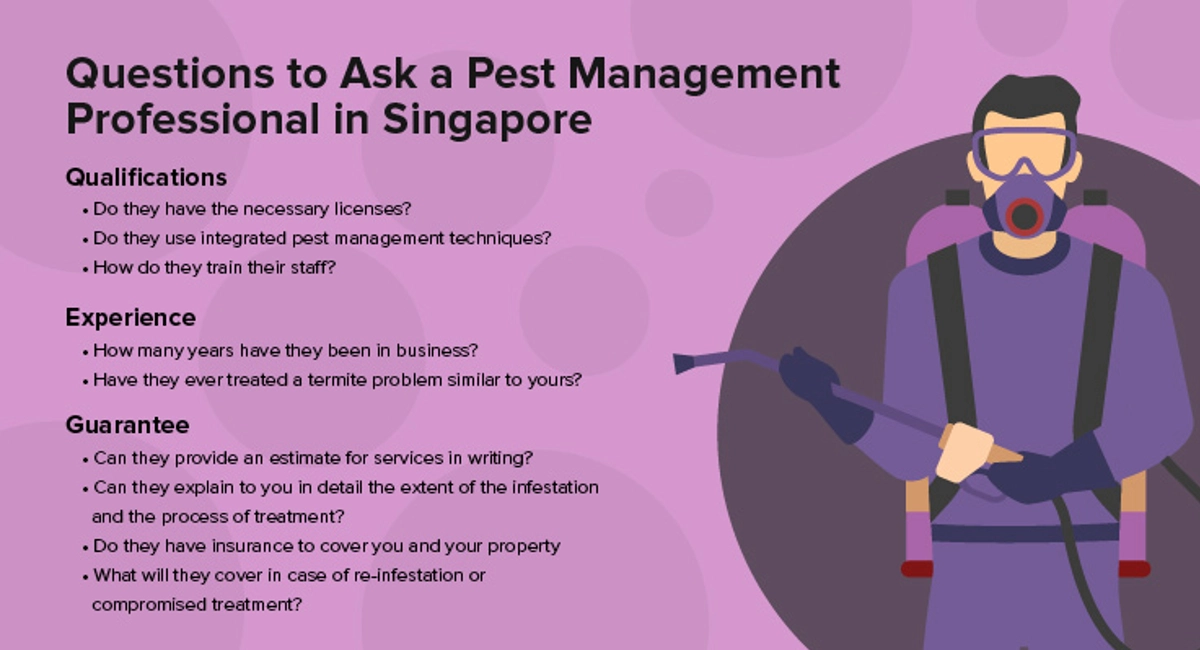 Questions to Ask a Pest Management Professional in Singapore