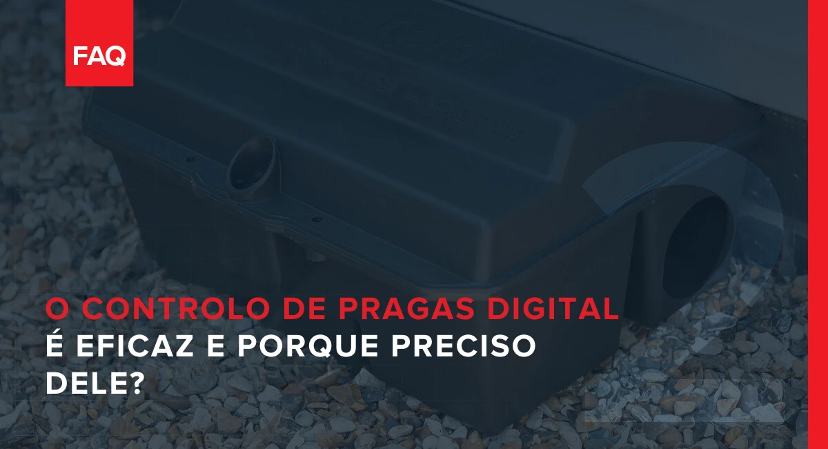 O Controlo de Pragas Digital é eficaz e porque preciso dele?