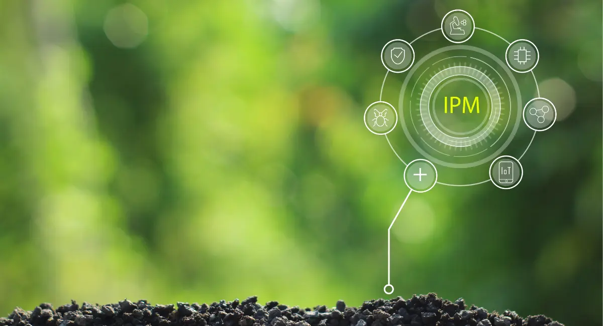 Ipm Works How does integrated pest management (IPM) work?