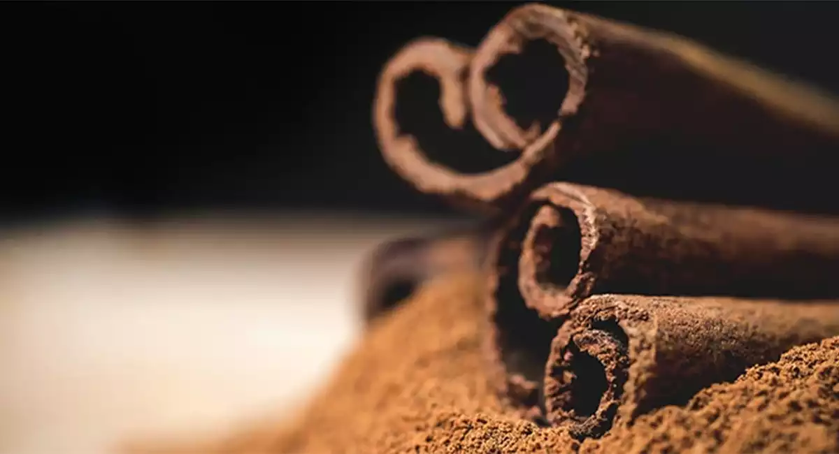 Does cinnamon repel bed bugs?
