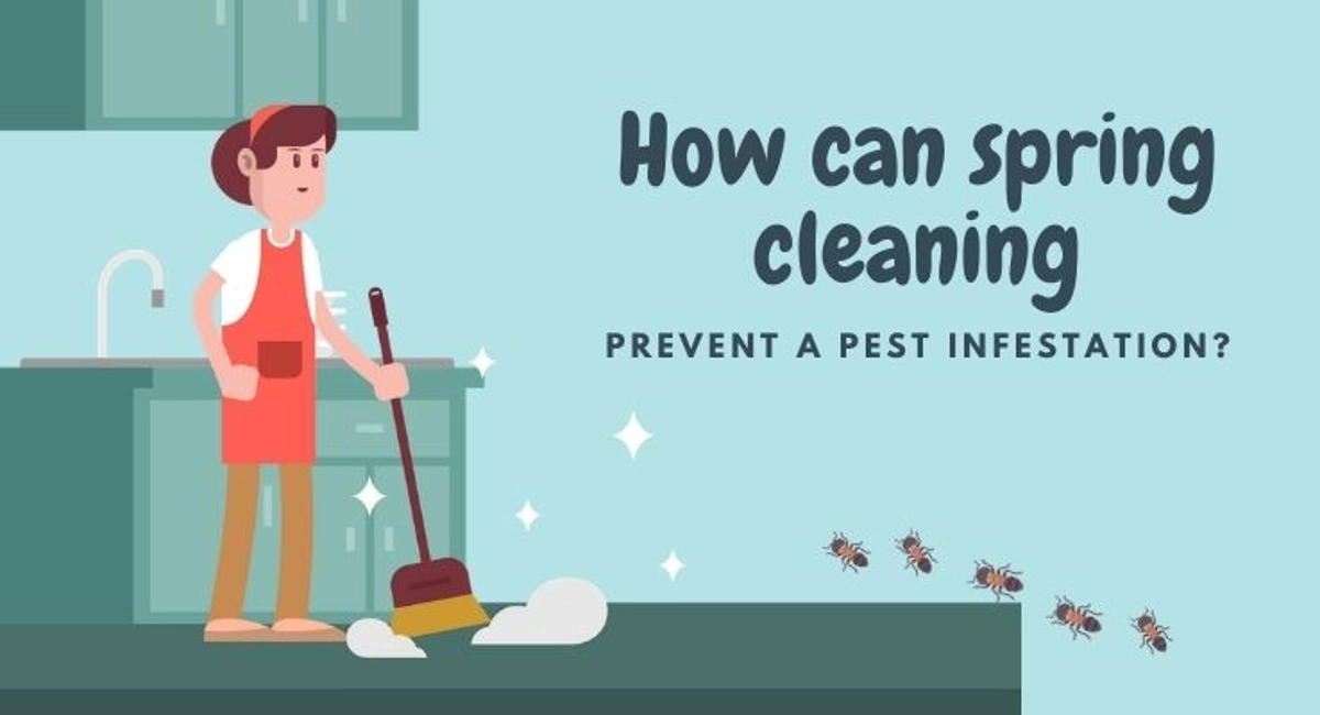 Debugged Blog Spring Cleaning Tips Pest Prevention