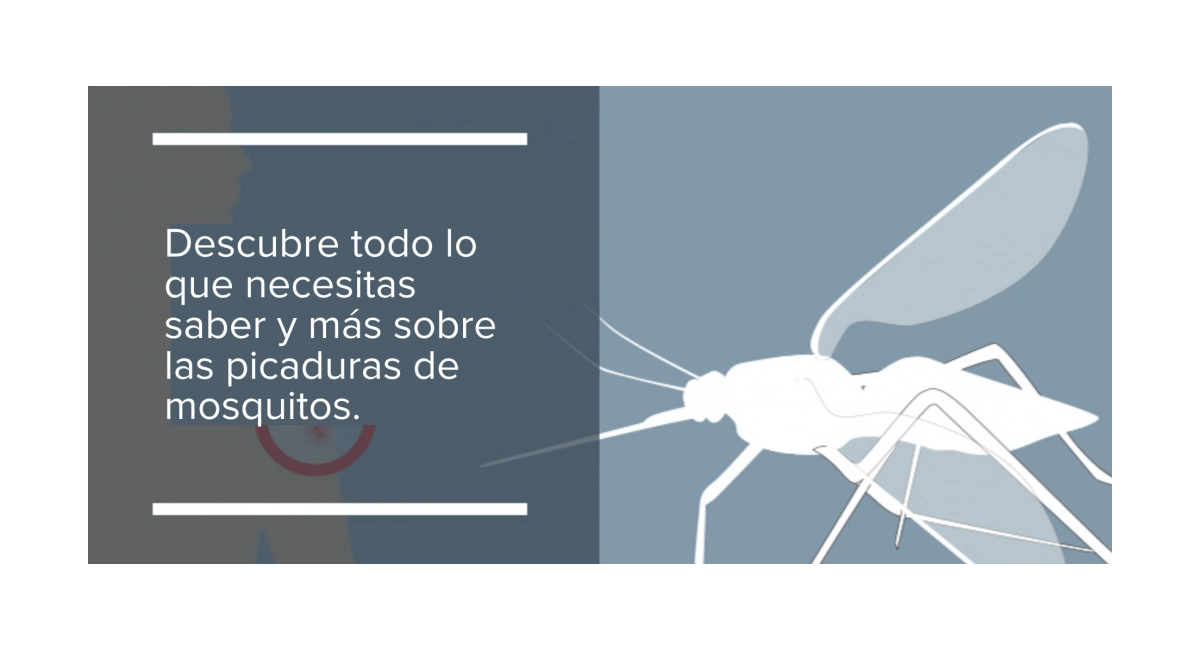 Mosquito