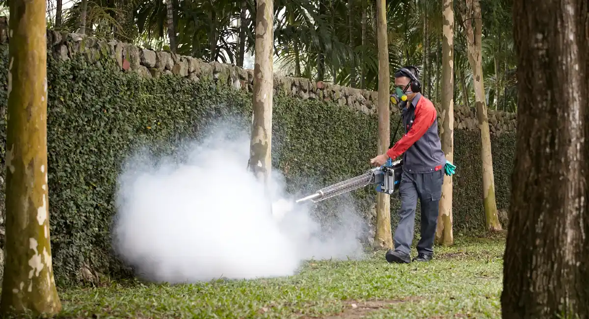 Kill mosquito with heat mist