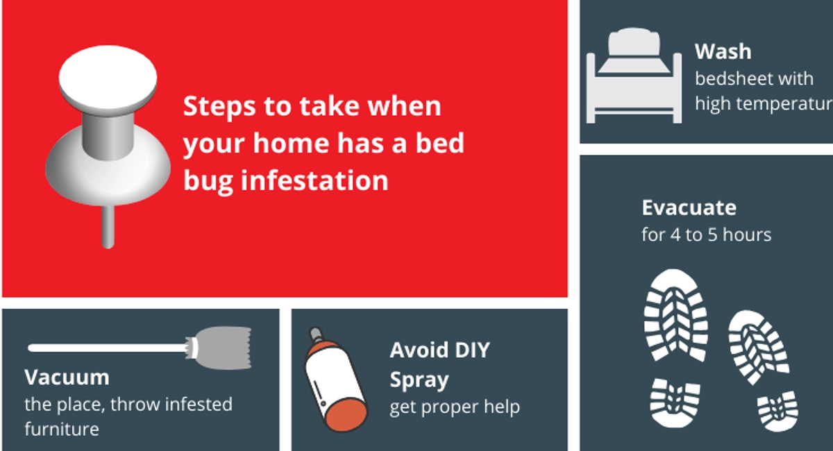 steps for bed bugs infestation