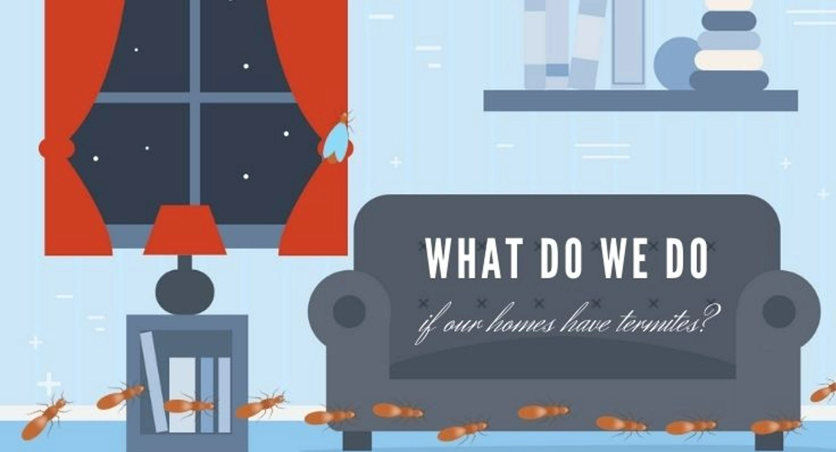 Debugged Blog Seven Reasons Why We Dislike Termite What Do We Do If Homes Have Termites