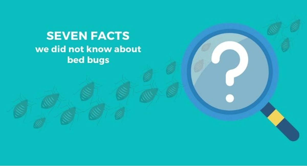 Debugged Blog Seven Facts About Bed Bugs In Singapore Facts We Did Not Know About Bed Bug