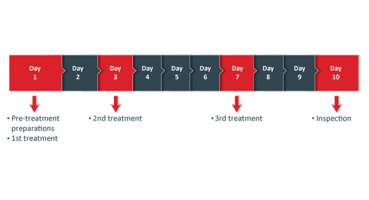 Bedbugs 10 day treatment