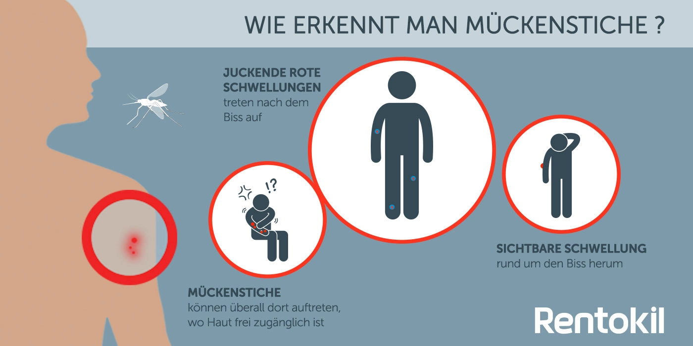 Sie ähneln anderen Insektenstichen: so erkennt man Mückenstiche