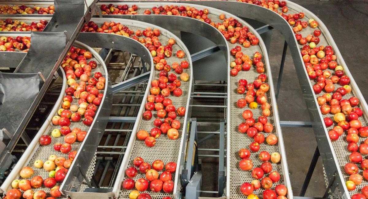 rentokil-industry-image-food-processing-ph.jpg