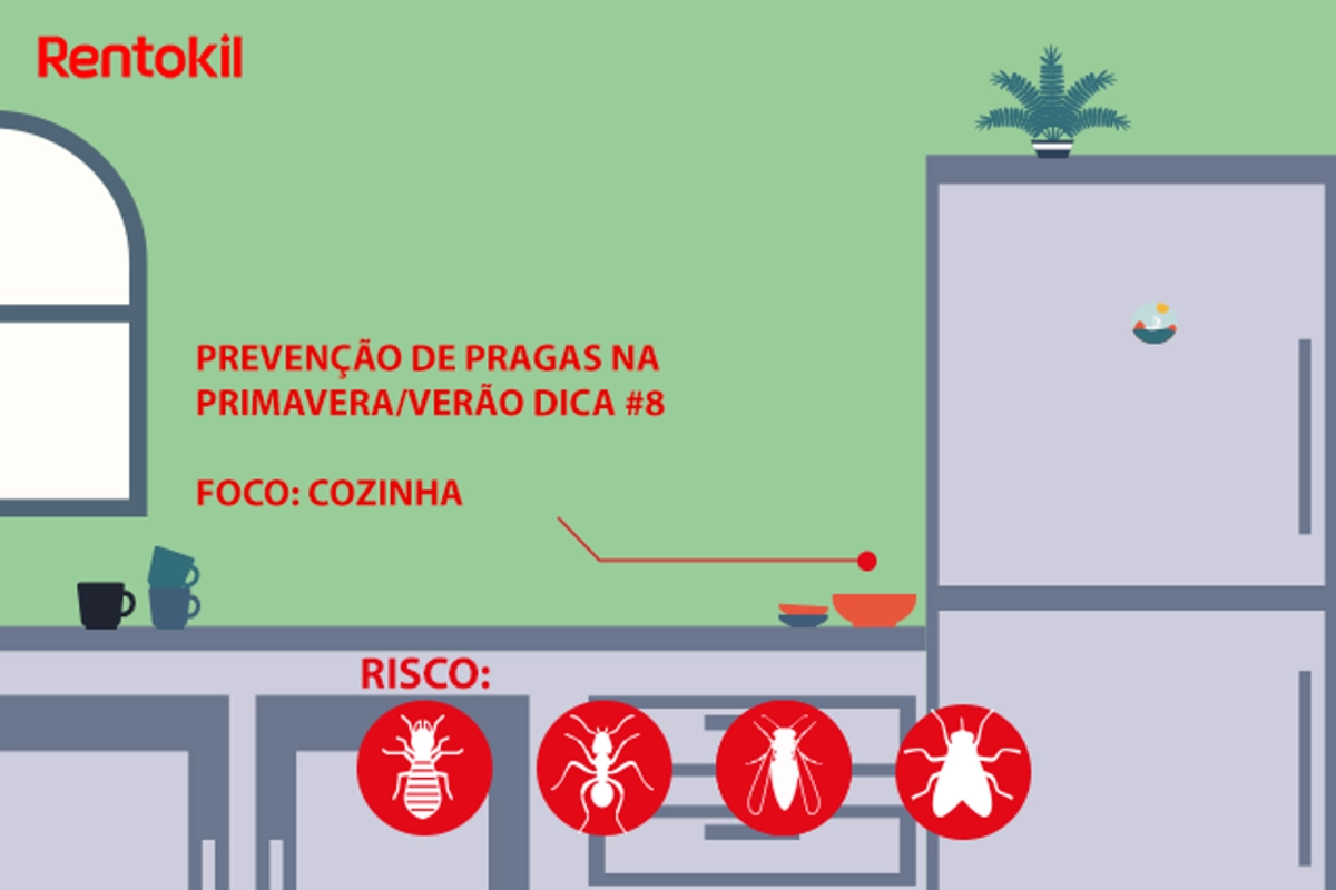 Dicas para prevenção de pragas na cozinha